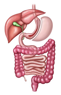 Laparoscopic Sleeve Gastrectomy. Lapband Surgery.